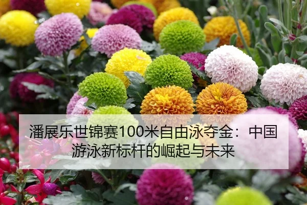 潘展乐世锦赛100米自由泳夺金：中国游泳新标杆的崛起与未来